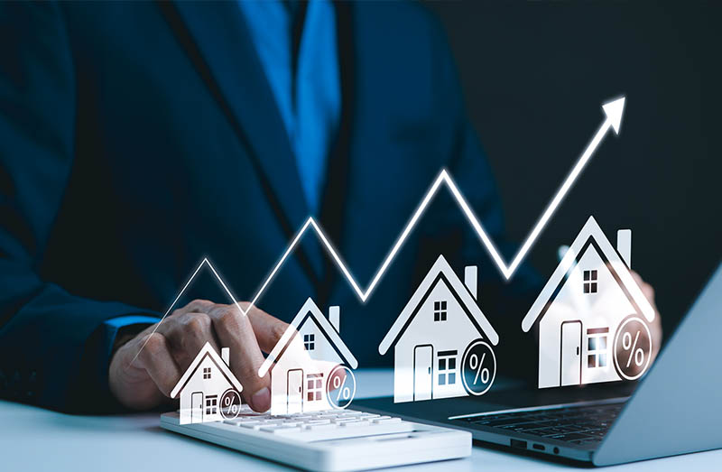 Neighborhood Spotlights: Best Areas in Jackson County, AL for Families, Retirees, and Investors